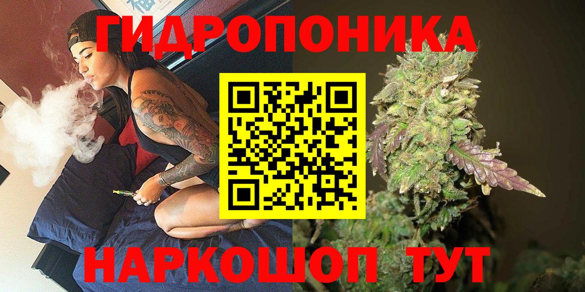 Бошки Шишки марихуана Будённовск